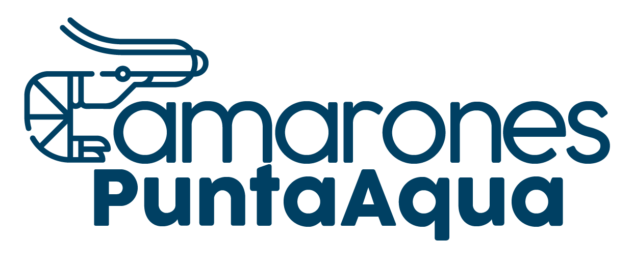Camarones PuntaAqua 2