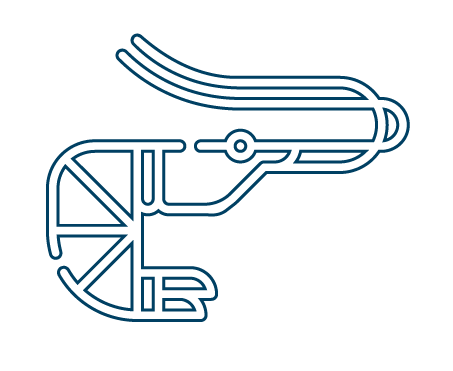 Camarones PuntaAqua Icono W